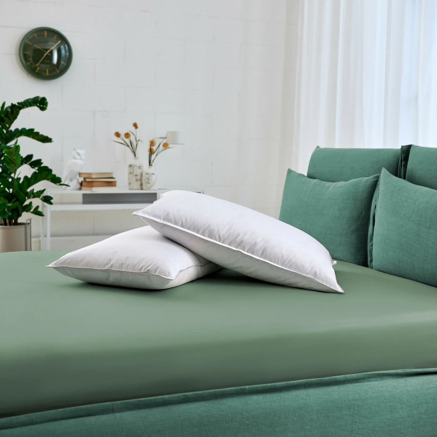 Perna Fairy, Dorelan